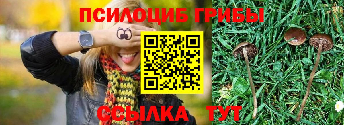 Галлюциногенные грибы прущие грибы  Галлюциногенные грибы Cubensis  Вход с VPN  Тула 